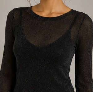 Sparkly Sheer Long Sleeve Top