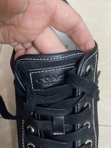 Coach Sneakers - Stylish &amp; Comfortable