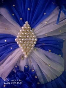 Blue &amp; White Girls' Party Dress