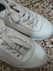 Classic White Lace-Up Sneakers