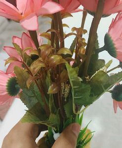 Cute Cactus Flower Pot