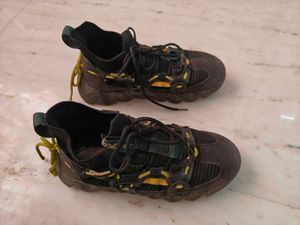Men's Sport Shoes
