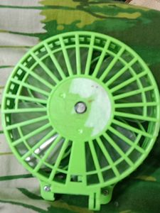 Green Fan