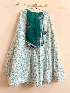 Embroidered Lehenga Choli Set