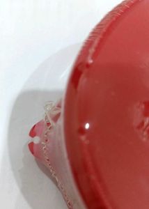 Brand New Set of 2 Red Round Storage Container