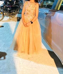 Elegant Party Gown
