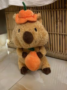 Cute Plush Wombat with Pumpkin