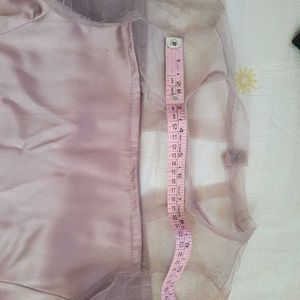 Mauve Sheer Sleeve Top