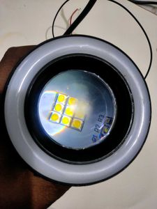 Fogg Light