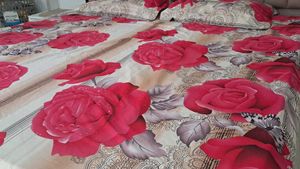 Digital Print New Bedsheet King Size With Pillo