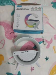 Multifunctional Speaker