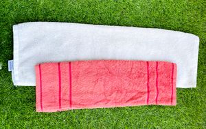 Two Hand towels Like New