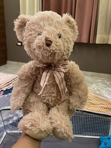 Cute Teddy Bear