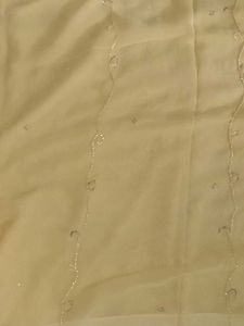 Beautifully Embellished Saree