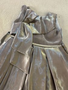 Elegant Shimmering Gown