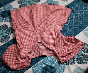 Cute Red Gingham Puff Sleeve Top