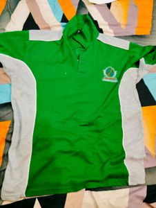 Green & Grey Polo Shirt
