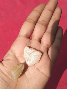 🤠Unique Raw Mineral Stone Collection