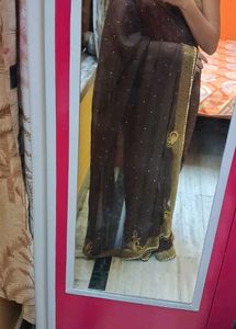 Elegant Brown Saree with Gold Border