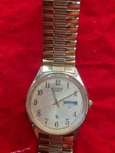 Citizen Quartz Gold Watch