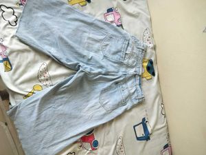 Light Wash Wide Leg jorts