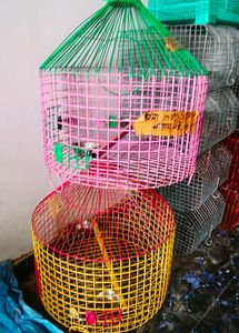 Birds Cage ( Pijara)