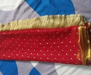 Stunning Red Saree with Gold Embellishments