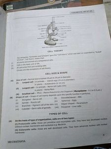 Sri Chaitanya Science