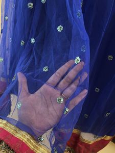 Blue Sequin Ethnic Skirt