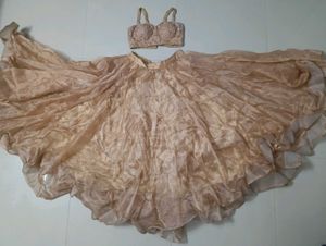 Golden Beige Embroidered Lehenga Set