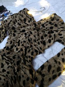 Leopard Print Ruched Mesh Mini Dress