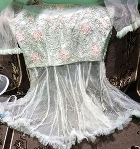 New Lehenga And Crop Top