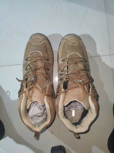 Woodland Shoes For Men . Unused. No Coins.