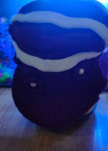 White And Maroon Mixed Cap With Pearls