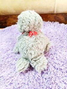 Cute Plush Seal Toy