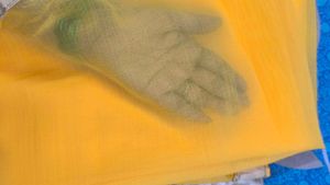 Yellow Saree with Embroidered Blouse