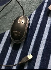 Quantum Mouse