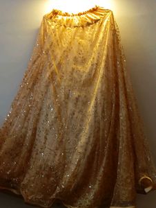 Sparkling Golden Lehenga Choli