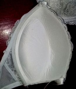 Beautiful Chicken Work Padded Bra