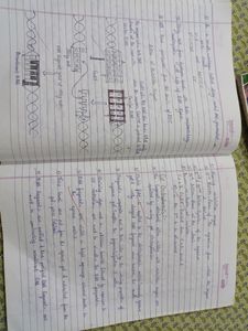 Class 12 Biology Notes