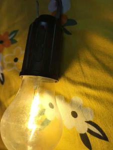 Incandescent Light Bulb