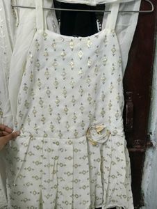 Elegant Embellished Ethnic Skirt