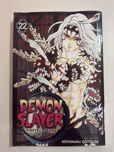 Demon Slayer Manga Volumes 22 &amp; 23