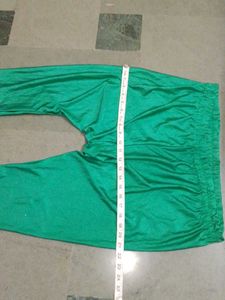 Vibrant Green Palazzos of 1