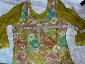 Elegant Traditional Pakistani Dress