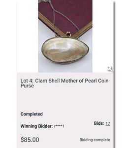 Rare Mother of pearl shell coin purse