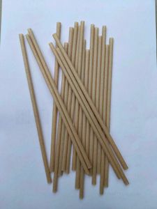 Eco-friendly Drinking Straws