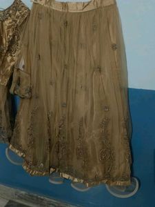 Party wear lehenga choli set