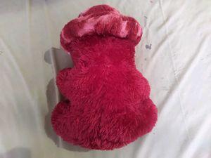 Cute Red Teddy Bear with Hat