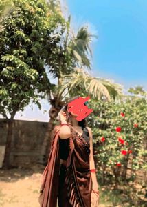 Elegant Brown Sequin Saree